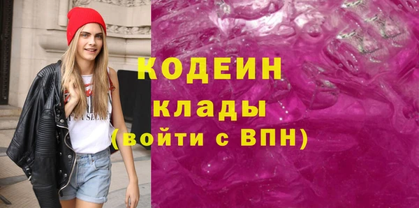 шишки Арсеньев