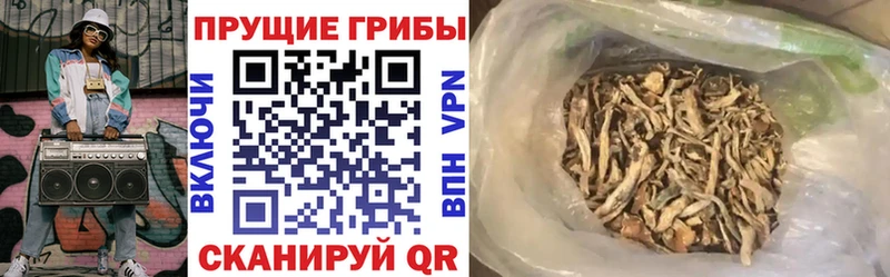 блэк спрут ONION  Рассказово  Галлюциногенные грибы Cubensis 